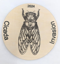 Cicada Magnet