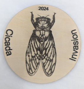 Cicada Magnet