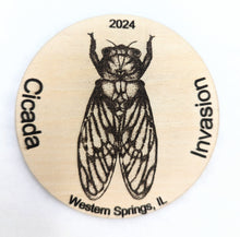 Cicada Magnet