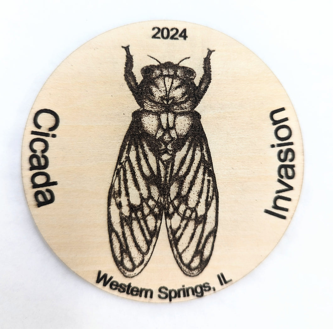 Cicada Magnet